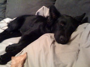 photo2