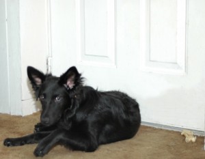zoe-waiting-for-mommy-2008